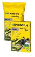 Monza Bermudagrass