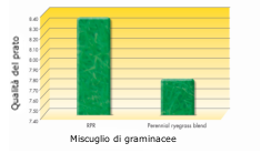 Sementi_product_image2_BarPowerRPR