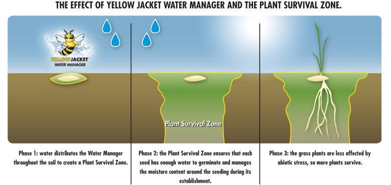 Sementi_product_image_MonacoBermudagrass