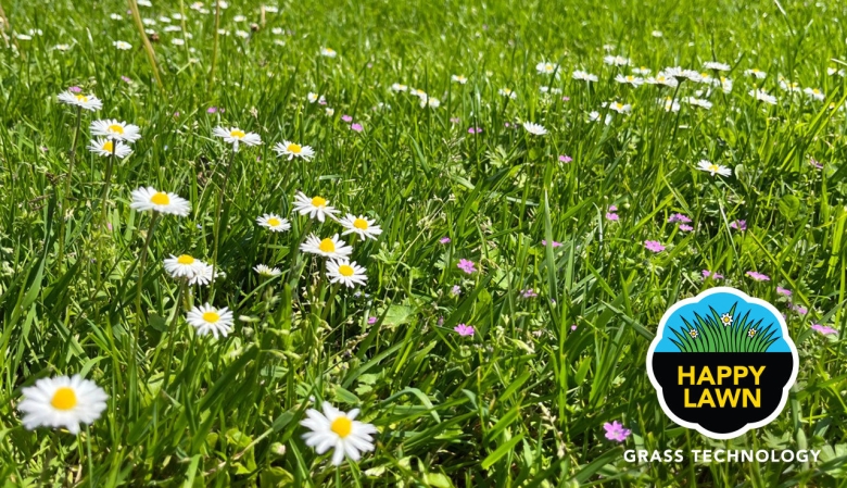 image-happy-lawn-01.jpg