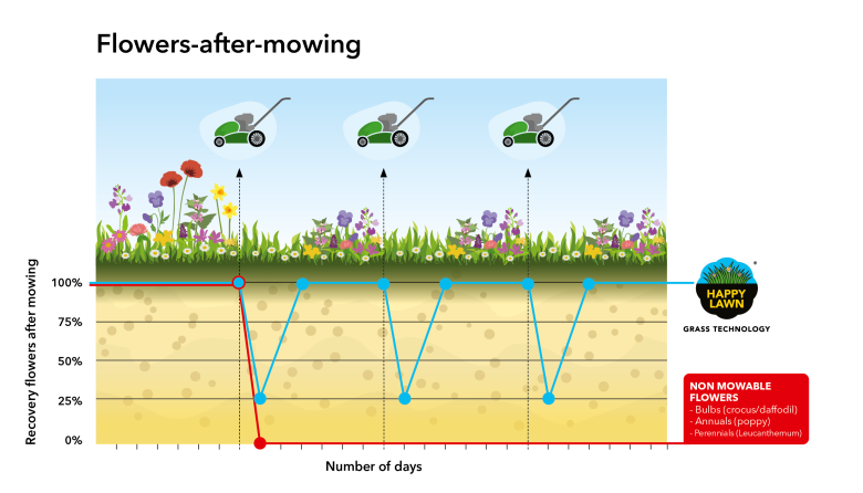 mowable-flowers-happylawn.png