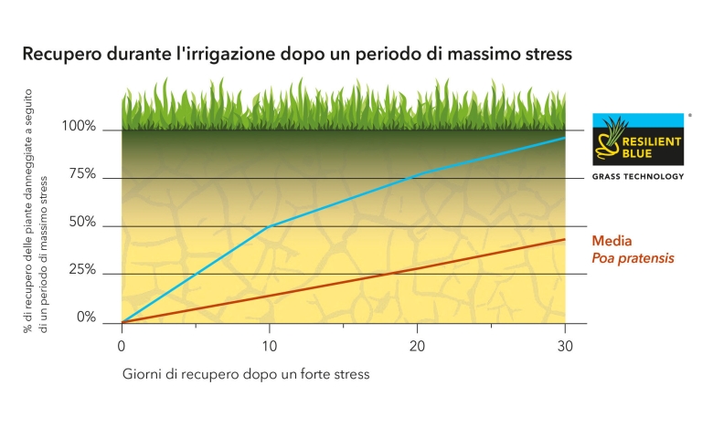 Grafiek_stress_IT-2024.jpg