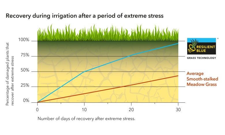 graph-rb-after-stress-eng-2024.jpg
