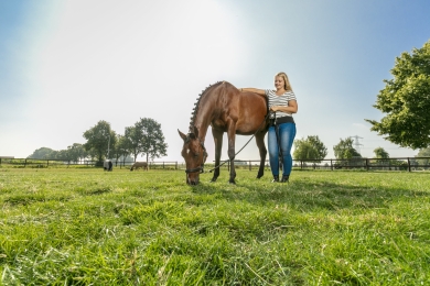foto_horse_master_aniek.jpg