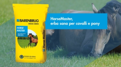 Link-item_HorseMaster_IT (1).jpg