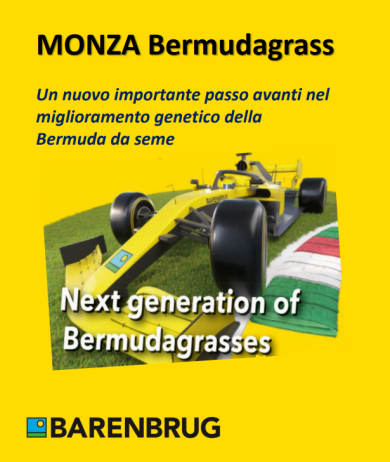 monza