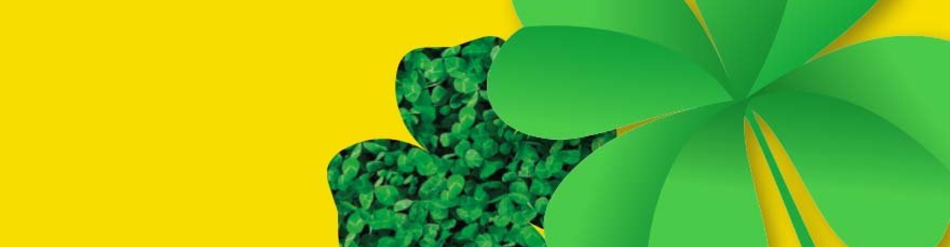 Sementi_product_header_LawnClover