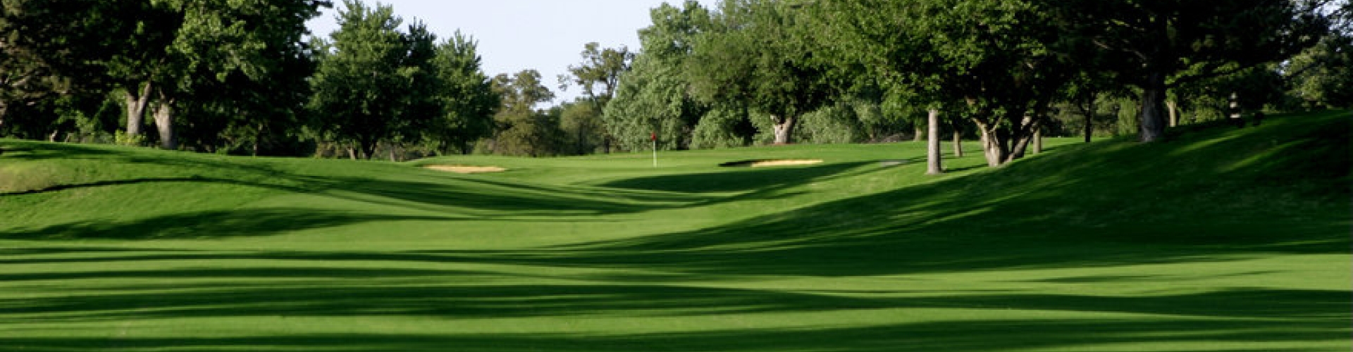 Sementi_product_header_MonacoBermudagrass