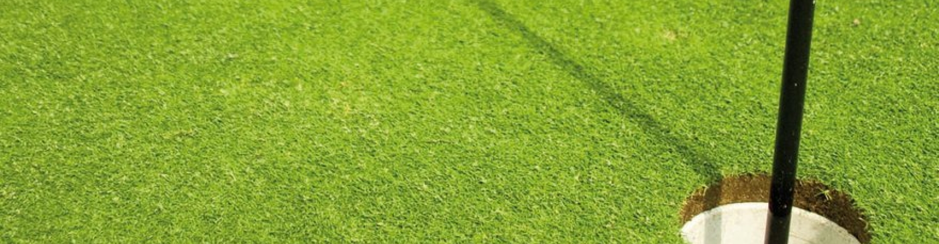 Sementi_product_header_Shadow