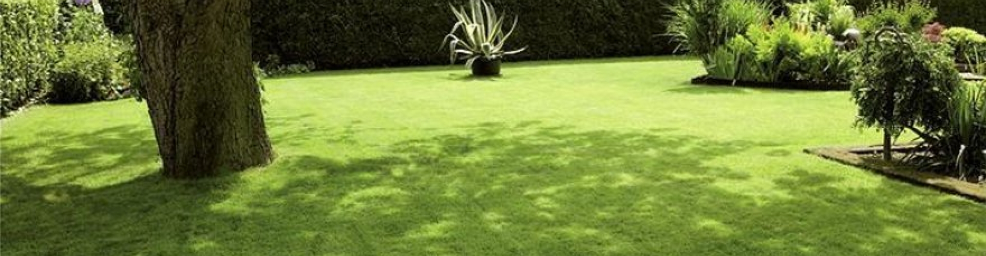 Sementi_product_header_Shadow2.jpg