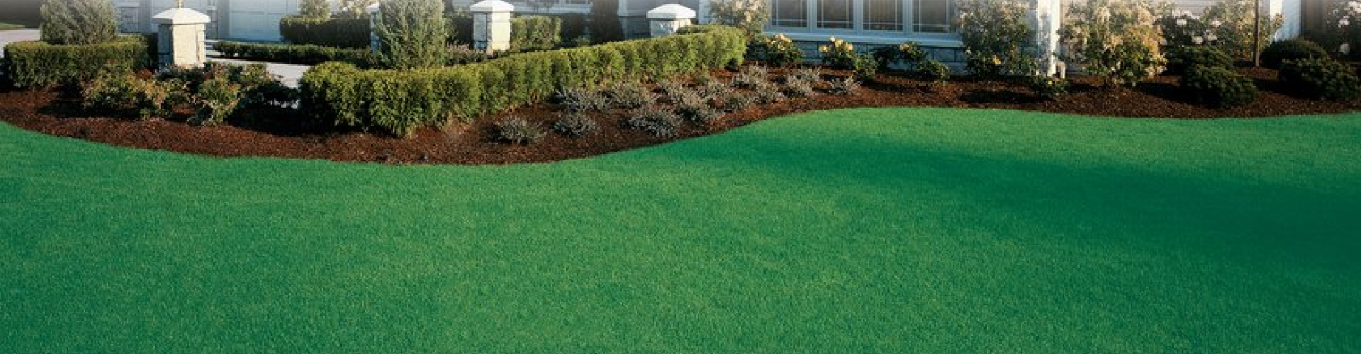 Sementi_product_header_WaterSaver