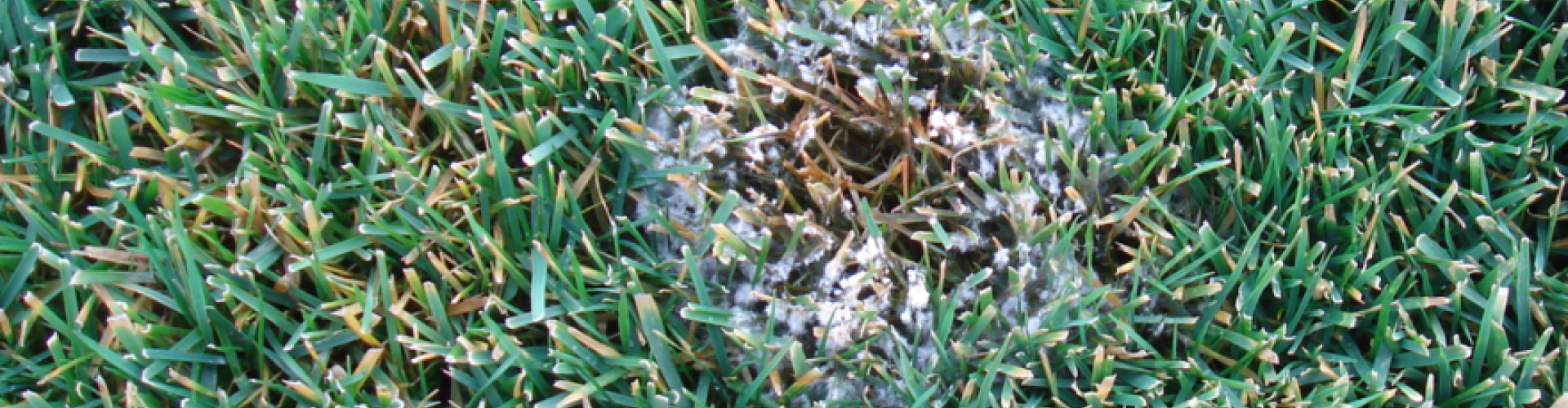 Concimi_product_header_BioNatural