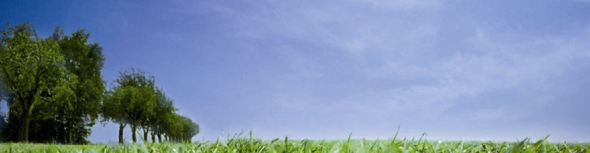 Concimi_product_header_Ferro31