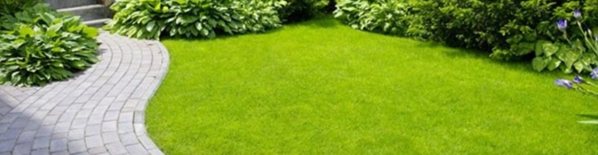 Concimi_product_header_Starter