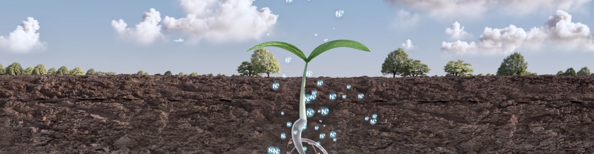 Nitrogenerator_Step4.jpg