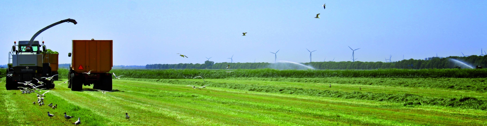 Header_NutriFibre_Drought (002).jpg