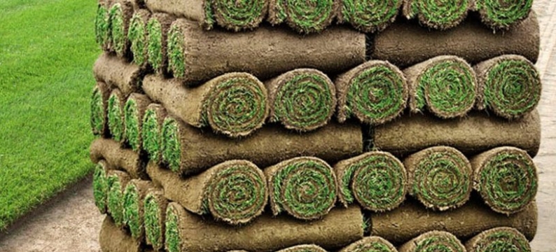 Sementi_product_header_MediterraneoWaterSaver