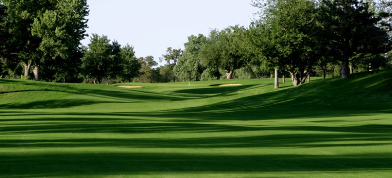 Sementi_product_header_MonacoBermudagrass
