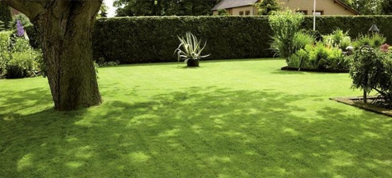 Sementi_product_header_Shadow2.jpg