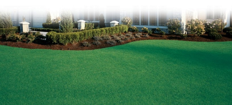 Sementi_product_header_WaterSaver