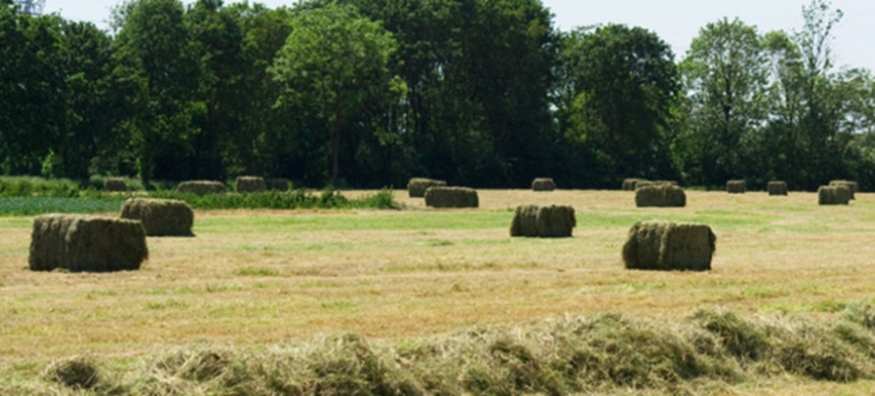 Foraggere_product_header_HayMaster
