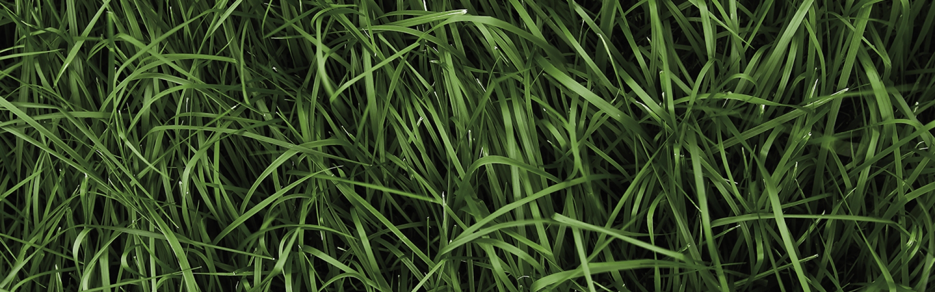 Header_NutriFibre_mineral efficient.jpg
