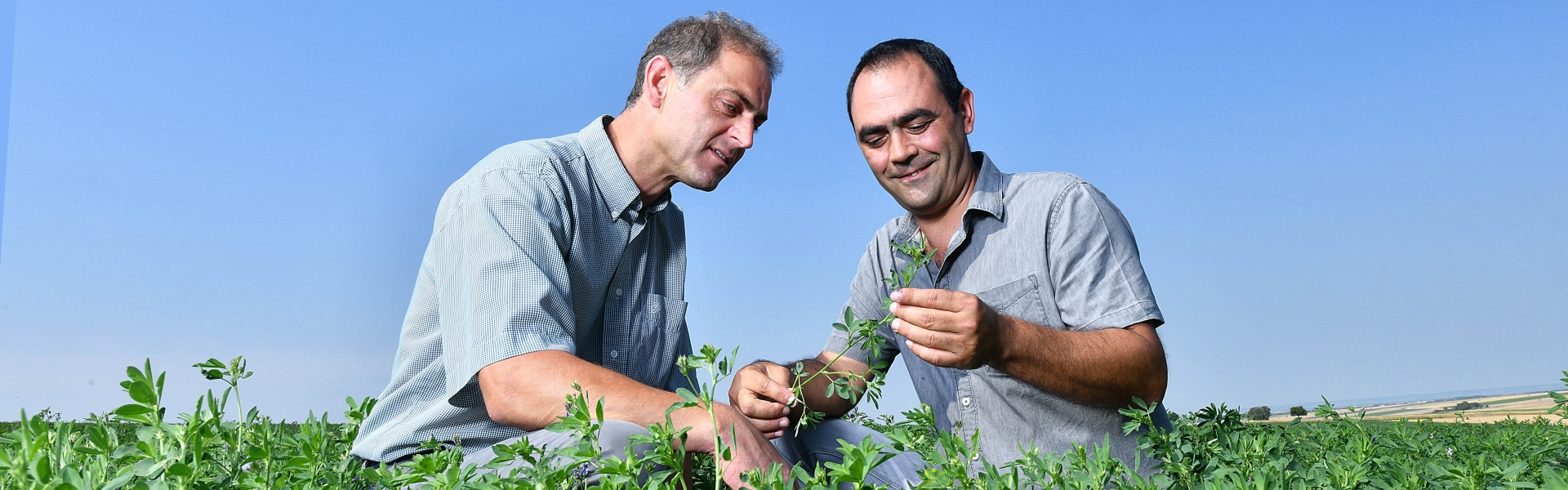 Lucerne France Farmer and Advisor 2018 (16).jpg