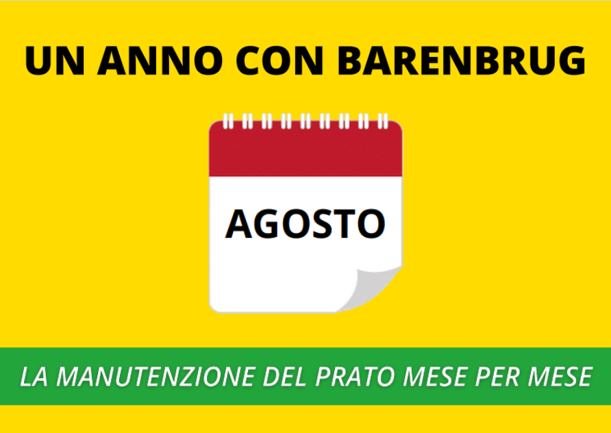 AGOSTO