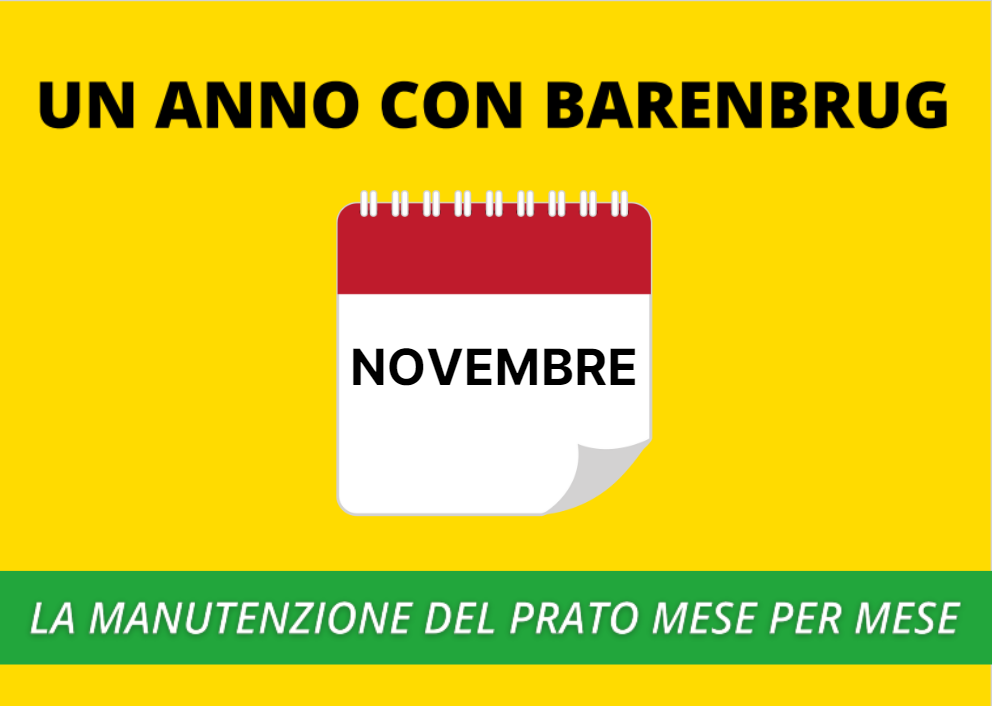 NOVEMBRE.png