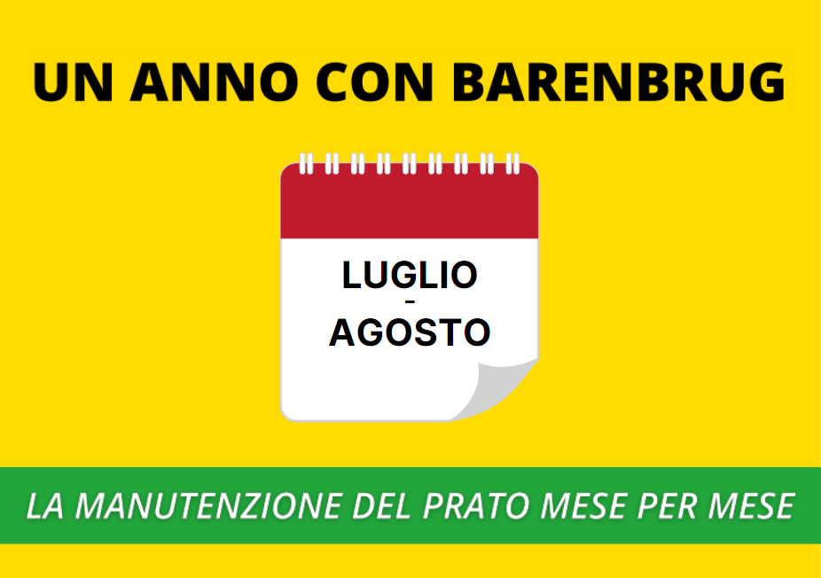 LUGLIO-AGOSTO