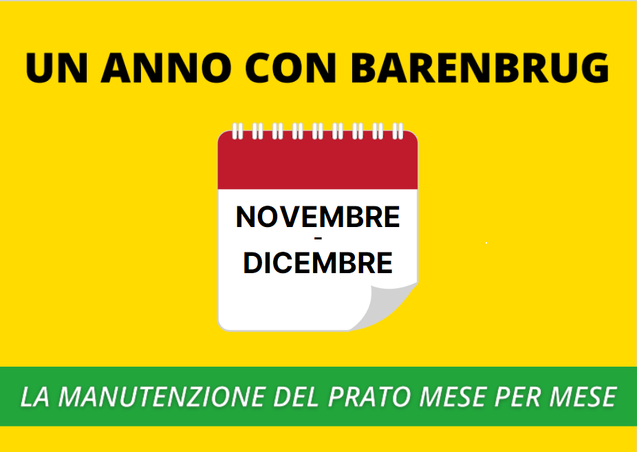 NOVEMBRE-DICEMBRE