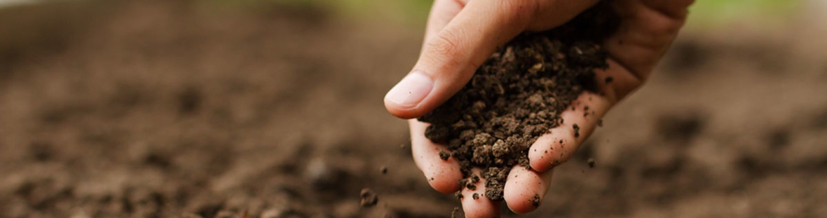 SoilPreparation_Header_1200x496.jpg