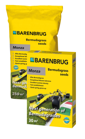 Monza Bermudagrass