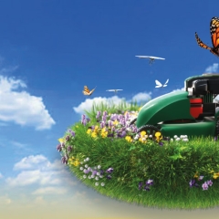 Happy Lawn